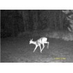 Visor Nocturno NH-1 6X50
