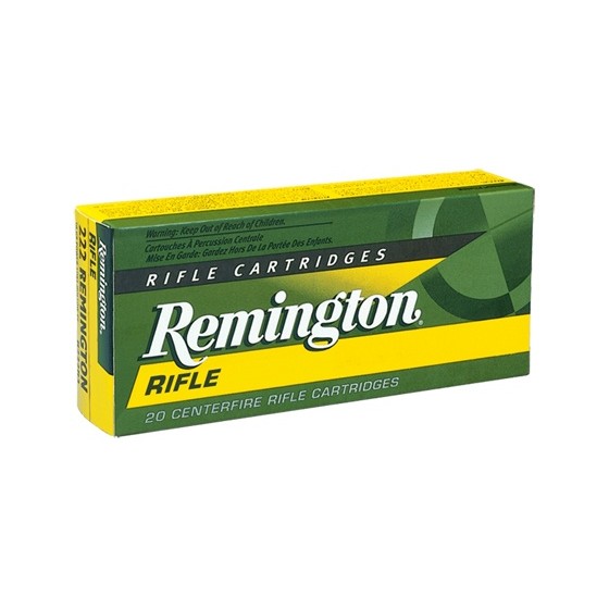Remington 45/70 300gr JHP