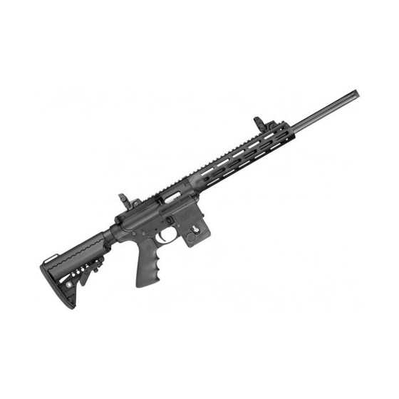 Carabina semiautomática Smith & Wesson M&P15-22 Sport PC