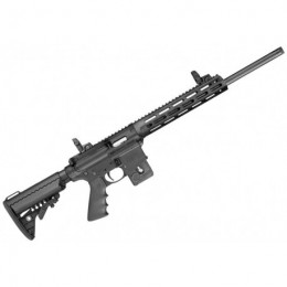 Carabina semiautomática Smith & Wesson M&P15-22 Sport PC