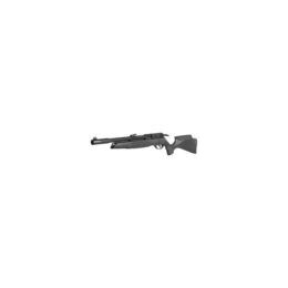 GAMO ARROW PCP